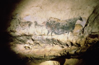 Felsmalerei einer schwarzen Kuh, um 17000 v. Chr. von Unbekannt Unbekannt